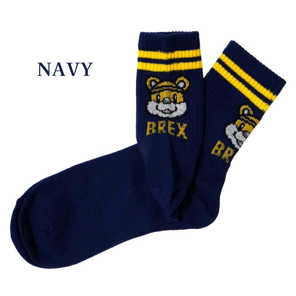 ブレッキーBPラインソックス 詳細画像 ネイビー 1