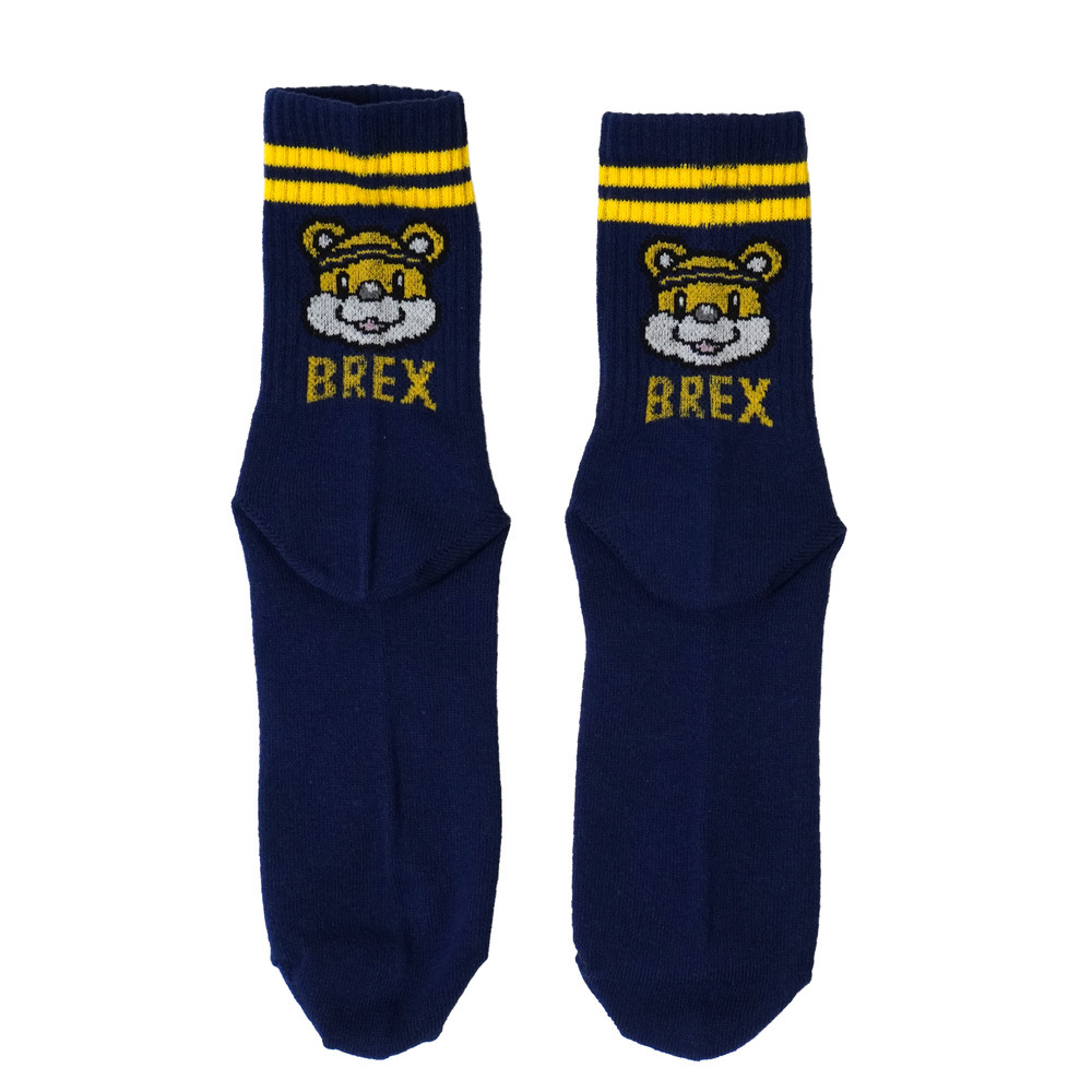 ブレッキーBPラインソックス 詳細画像 ネイビー 4