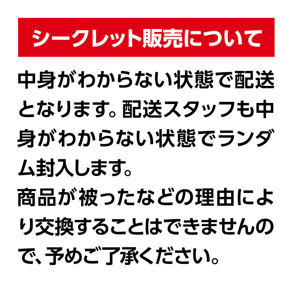 2025-26 選手ミニ木札ストラップ（おみくじ付）（ランダム5個セット） 詳細画像 1カラー 9