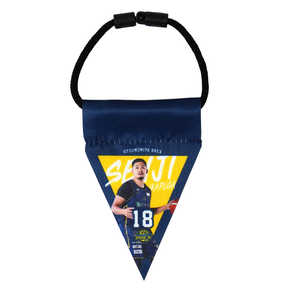 2025-26 選手ミニガーランド（連結フラッグ）  詳細画像 #18 IKARUGA 1