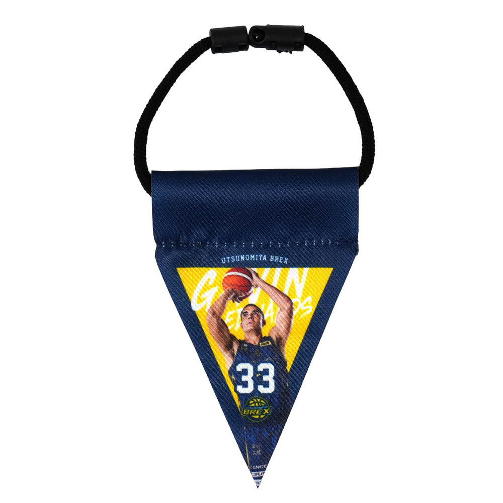 2025-26 選手ミニガーランド（連結フラッグ）  詳細画像 #33 EDWARDS 1