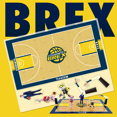 2025-26 選手miniアクリルスタンド ディスプレイコート