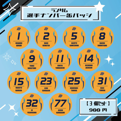 ランダム！選手ナンバー缶バッジ【3個セット】