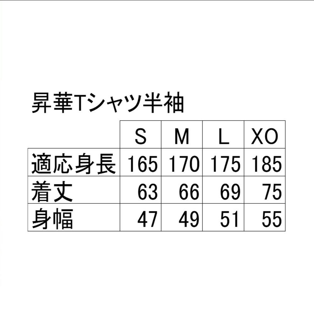 オーセンティック昇華Tシャツ半袖 詳細画像 2