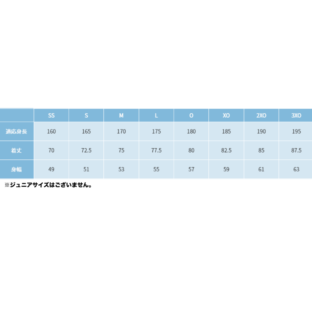 会場受取専用【AWAY】オーセンティックユニフォーム 2025-26【自由入力用】 詳細画像 2