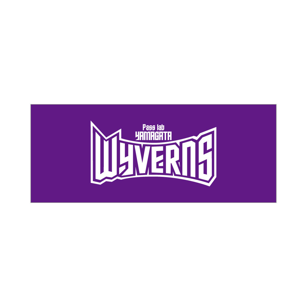 初めて応援セット 詳細画像 ワンカラー 2